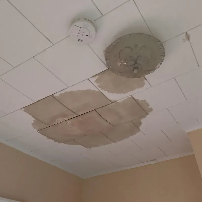 Ceiling Water Damage Repair in Lowell, NC