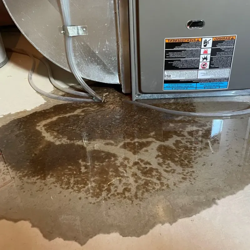 Pipe Burst and Leak Restoration in Lowell, NC