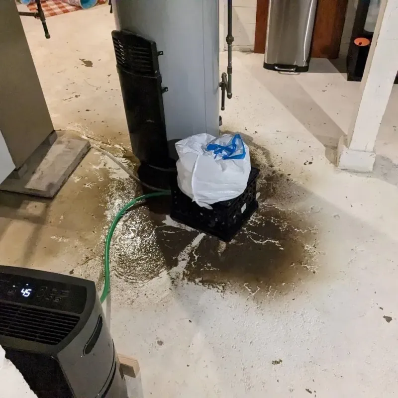 Sewage Backup Cleanup Service in Lowell, NC